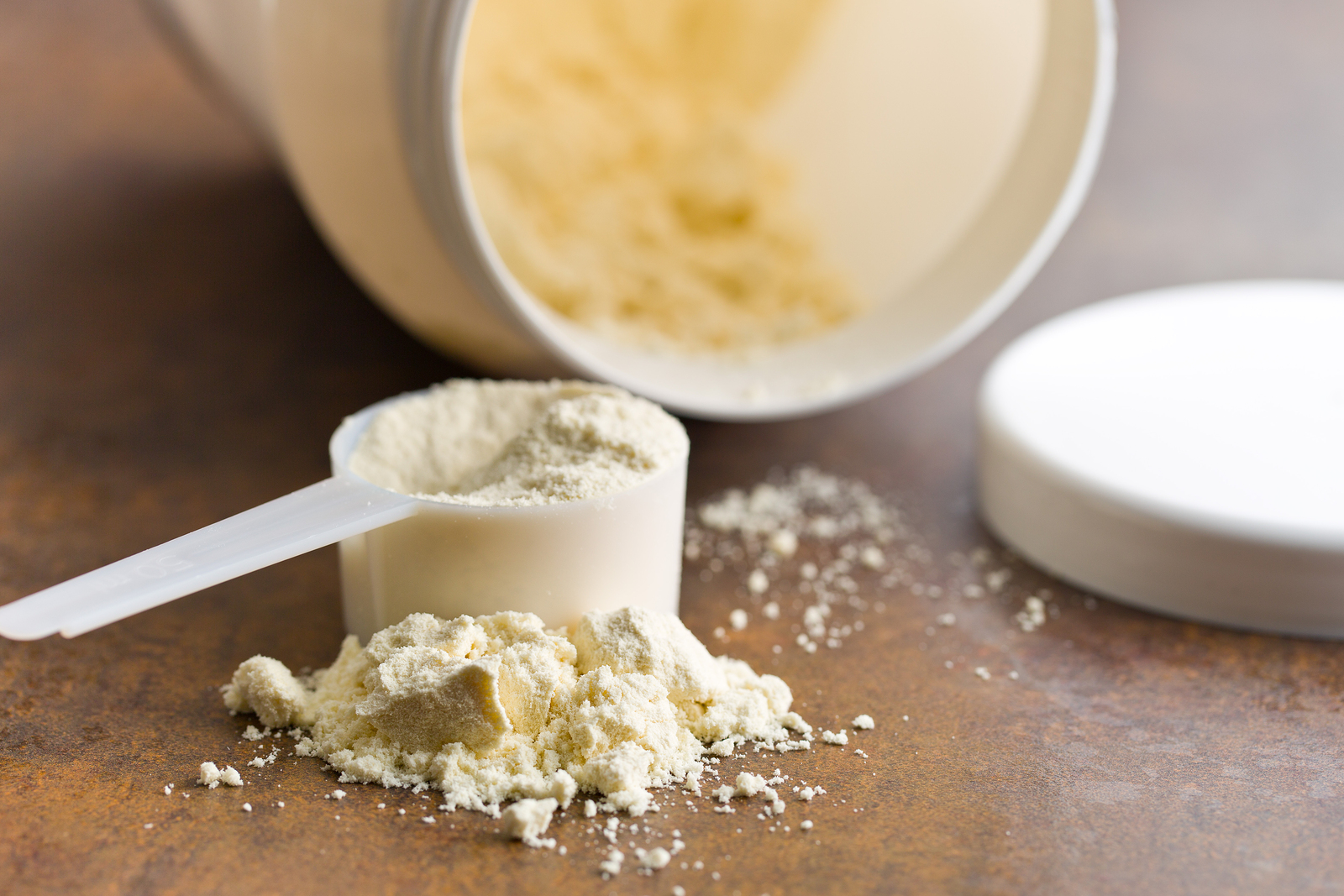 Which Protein Powder is Best For You?